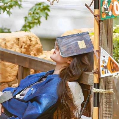 总有人间一两风